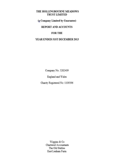 2013 Full Account Report