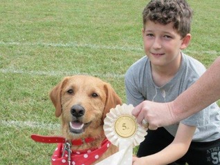 A prize winner from the Exemption Dog Show
