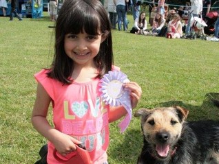 A prize winner from the Exemption Dog Show