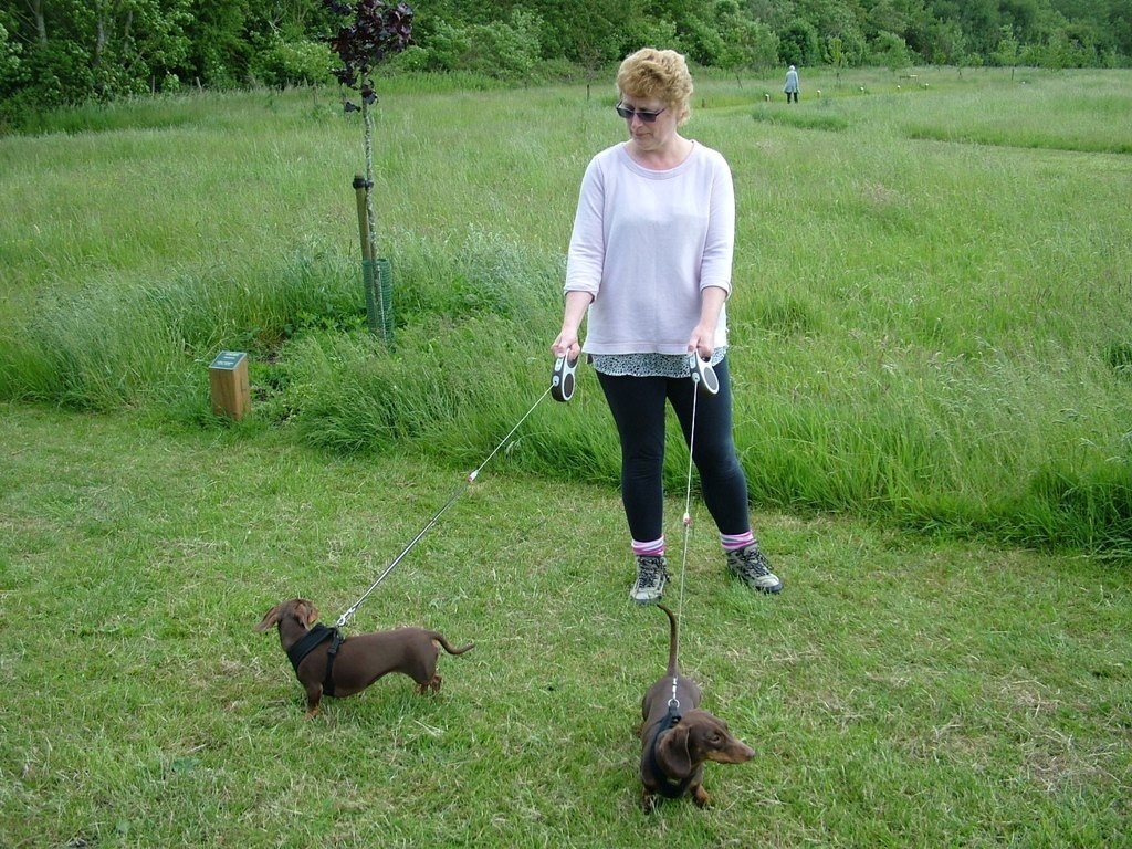 Daisy and Lilly taking Maria for a walk