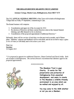 The 2015 Annual General Meeting
