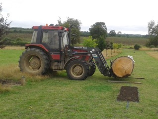 Bench transported to site