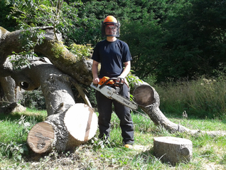 Jack Wilson cutting up the fallen Ash tree