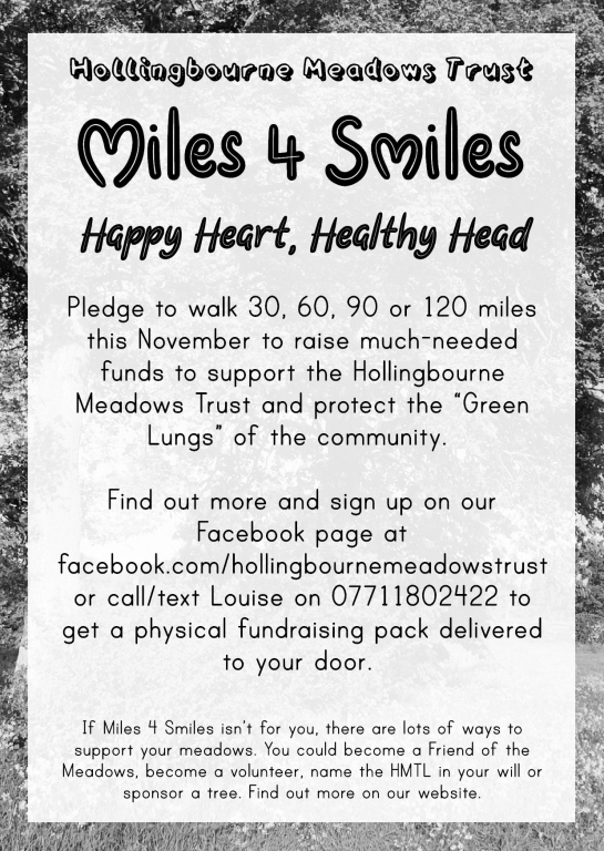 Miles for Smiles