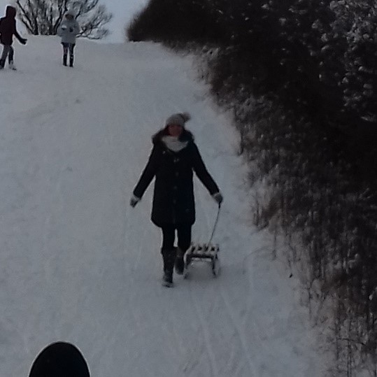 Tobogganing in the meadows