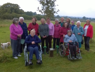 Celebration tree unveiling