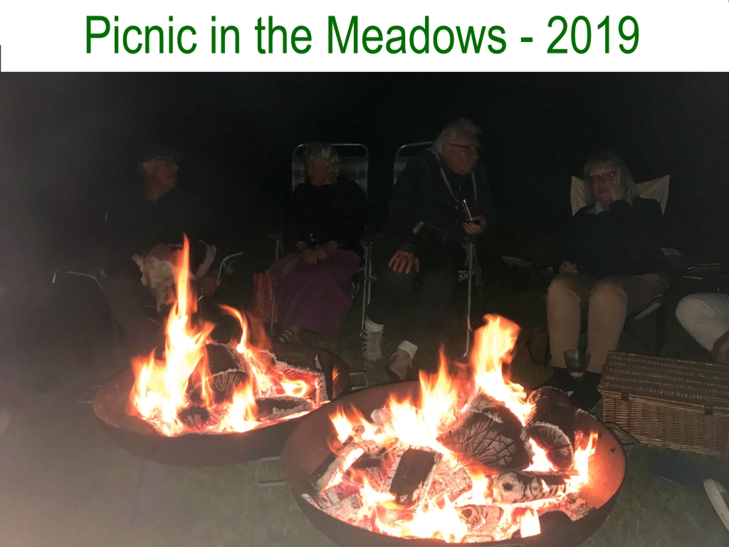 Picnic in the Meadows - 2019