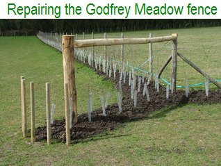 Repairing the Godfey Meadow fence